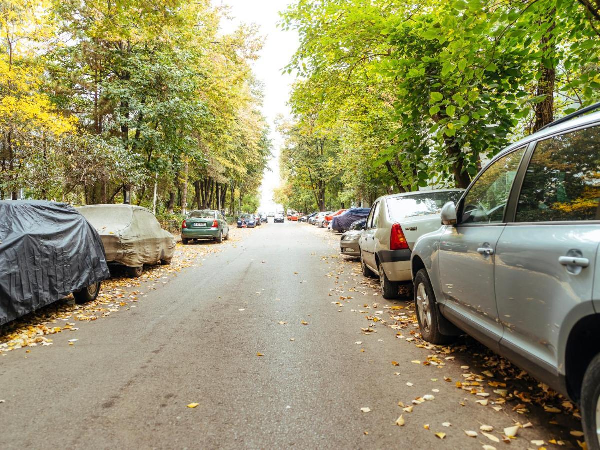 Woody - Cozy&Quiet Place near Moghioros Park Bucarest Exterior foto
